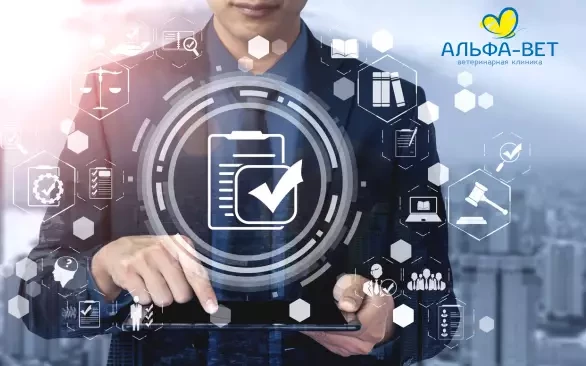 ПРАВИЛА ОКАЗАНИЯ ВЕТЕРИНАРНЫХ УСЛУГ