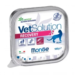 Monge VetSolution Cat Recovery, влажная диета для кошек в период выздоровления, 100 гр.(арт.-4656)