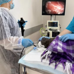 Эндоскопия (Извлечение инородного тела из пищевода) сложное