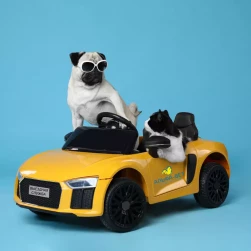 Выездная служба (до 2-го кольца, Минск)